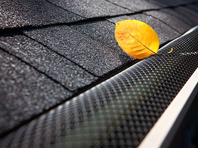 Leaf Protection, Lake Elsinore, CA